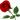 id: .Sarnai.